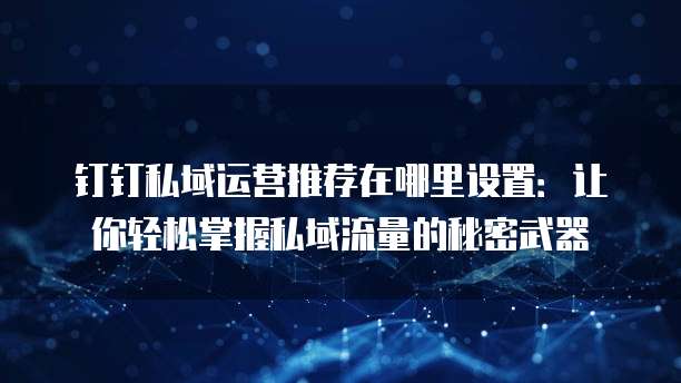 钉钉私域运营推荐在哪里设置:让你轻松掌握私域流量的秘密武器