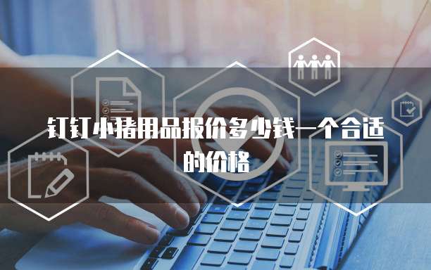 钉钉小猪用品报价多少钱一个合适的价格