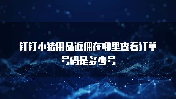 钉钉小猪用品返佣在哪里查看订单号码是多少号