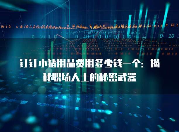 钉钉小猪用品费用多少钱一个:揭秘职场人士的秘密武器