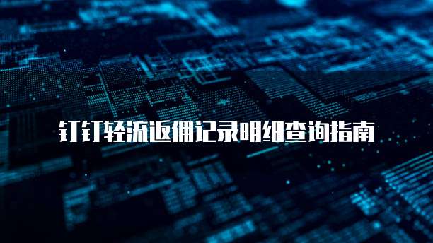 钉钉轻流返佣记录明细查询指南