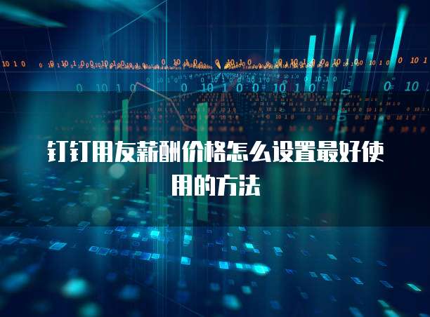 钉钉用友薪酬价格怎么设置最好使用的方法