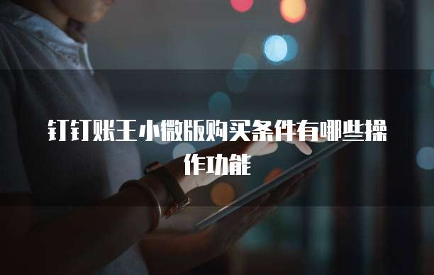 钉钉账王小微版购买条件有哪些操作功能