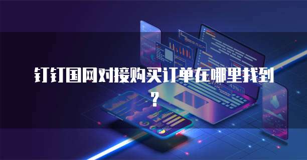 钉钉国网对接购买订单在哪里找到?