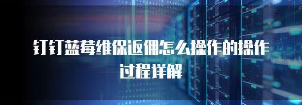 钉钉蓝莓维保返佣怎么操作的操作过程详解