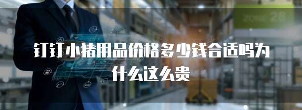 钉钉小猪用品价格多少钱合适吗为什么这么贵