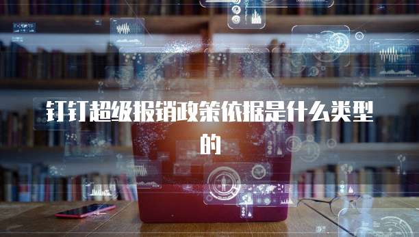 钉钉超级报销政策依据是什么类型的