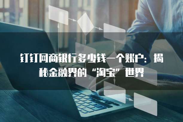 钉钉网商银行多少钱一个账户:揭秘金融界的“淘宝”世界
