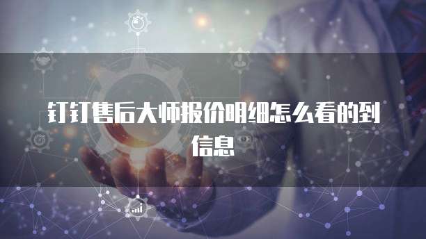 钉钉售后大师报价明细怎么看的到信息