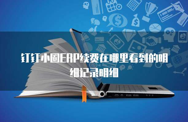 钉钉小圈ERP续费在哪里看到的明细记录明细