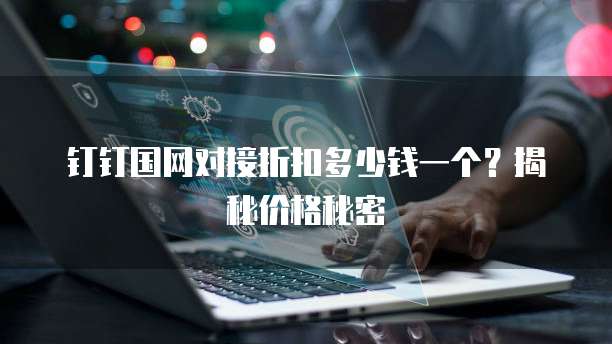钉钉国网对接折扣多少钱一个？揭秘价格秘密