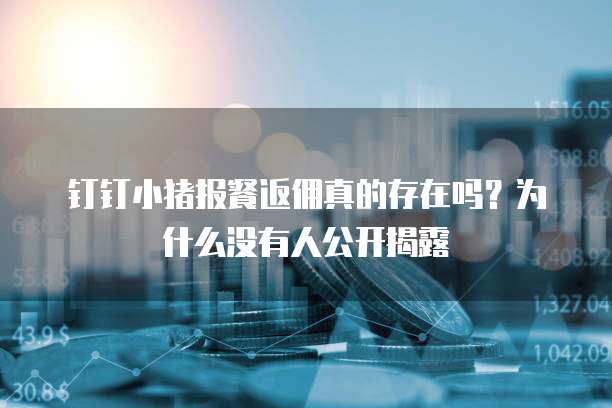 钉钉小猪报餐返佣真的存在吗?为什么没有人公开揭露