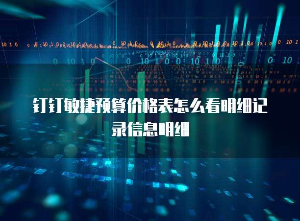 钉钉敏捷预算价格表怎么看明细记录信息明细
