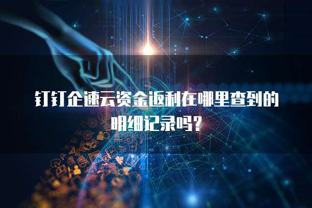 钉钉企速云资金返利在哪里查到的明细记录吗？