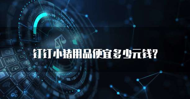 钉钉小猪用品便宜多少元钱?