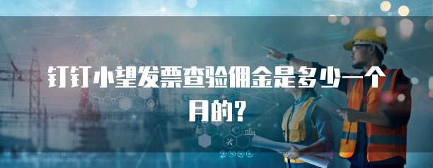 钉钉小望发票查验佣金是多少一个月的?
