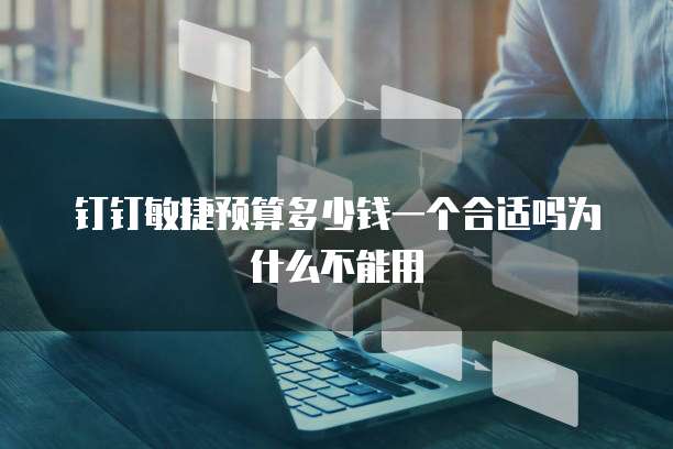 钉钉敏捷预算多少钱一个合适吗为什么不能用