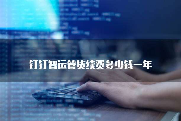 钉钉智运管货续费多少钱一年