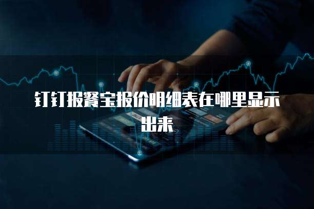 钉钉报餐宝报价明细表在哪里显示出来