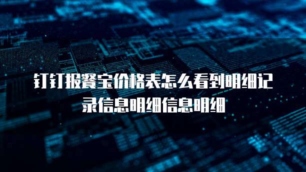 钉钉报餐宝价格表怎么看到明细记录信息明细信息明细