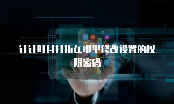 钉钉盯目打折在哪里修改设置的权限密码