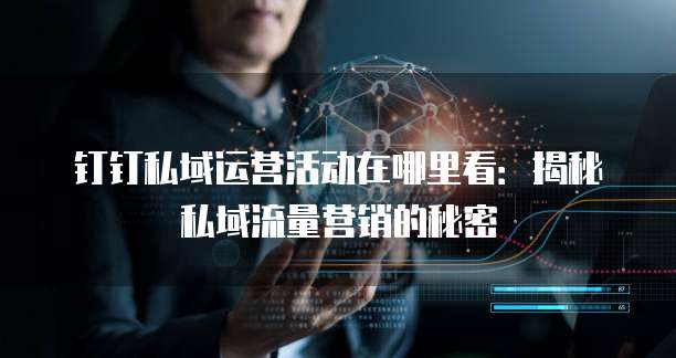 钉钉私域运营活动在哪里看：揭秘私域流量营销的秘密