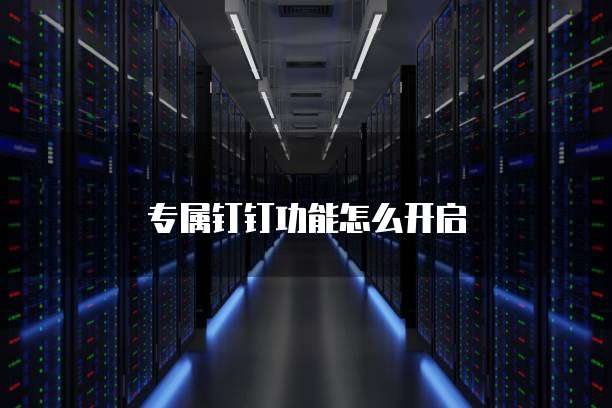 专属钉钉功能怎么开启
