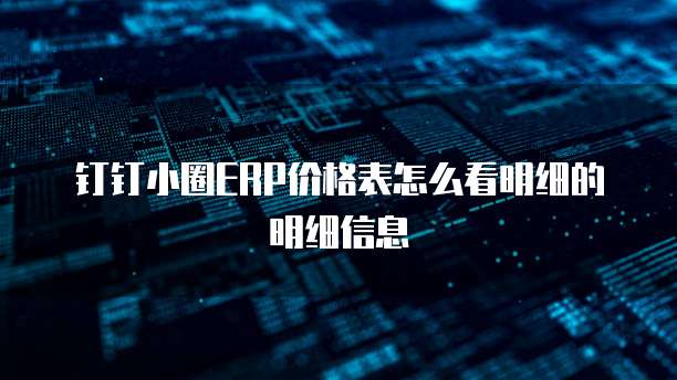 钉钉小圈ERP价格表怎么看明细的明细信息