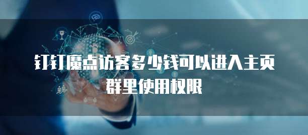 钉钉魔点访客多少钱可以进入主页群里使用权限