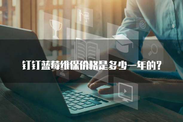 钉钉蓝莓维保价格是多少一年的?