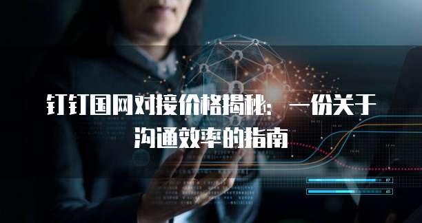 钉钉国网对接价格揭秘：一份关于沟通效率的指南