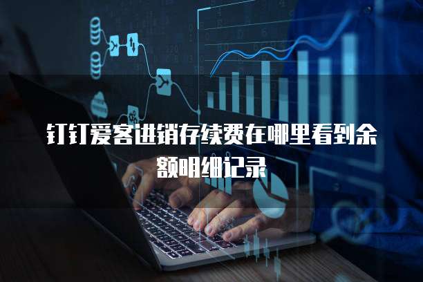 钉钉爱客进销存续费在哪里看到余额明细记录