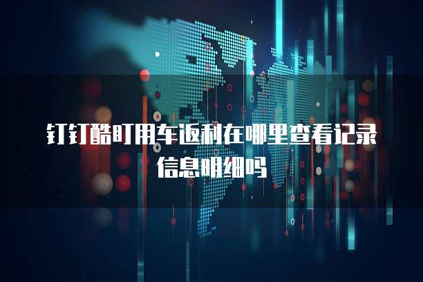钉钉酷盯用车返利在哪里查看记录信息明细吗