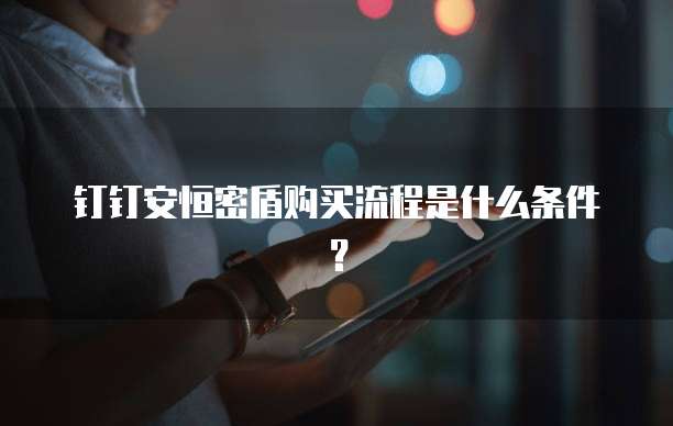钉钉安恒密盾购买流程是什么条件?