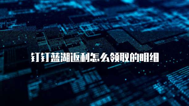 钉钉蓝湖返利怎么领取的明细