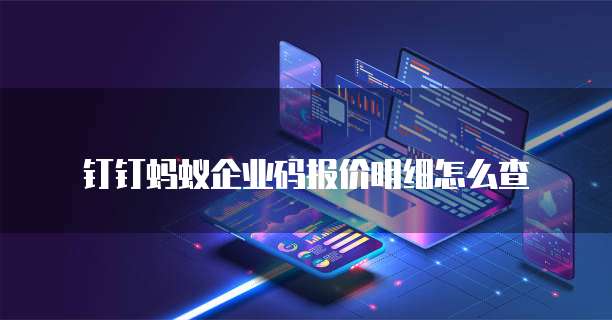 钉钉蚂蚁企业码报价明细怎么查