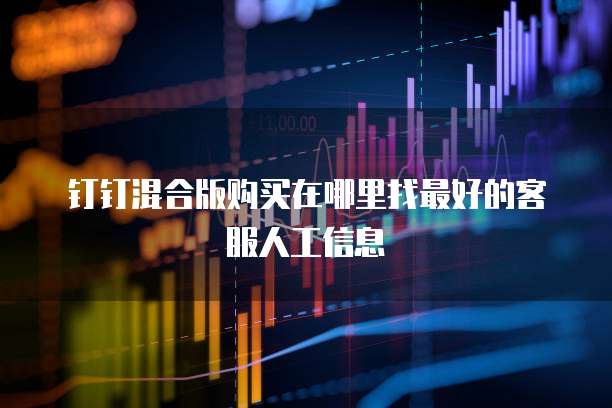 钉钉混合版购买在哪里找最好的客服人工信息