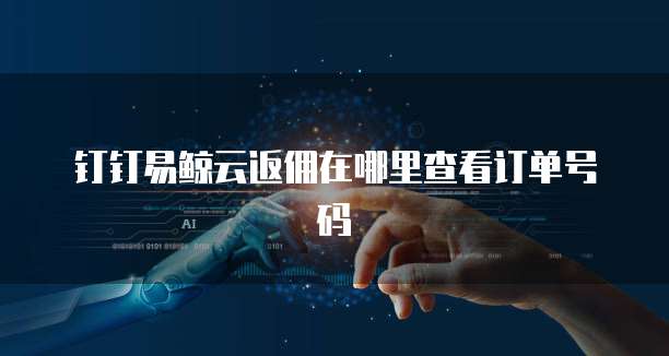 钉钉易鲸云返佣在哪里查看订单号码