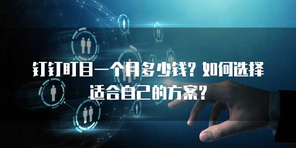 钉钉盯目一个月多少钱?如何选择适合自己的方案?