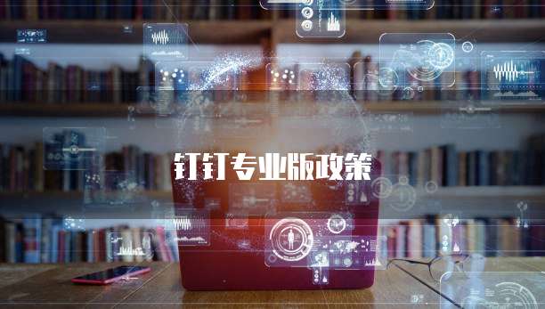 钉钉专业版政策