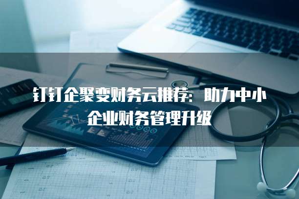 钉钉企聚变财务云推荐:助力中小企业财务管理升级