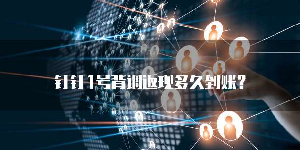 钉钉1号背调返现多久到账?