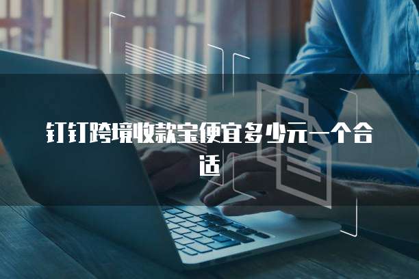 钉钉跨境收款宝便宜多少元一个合适
