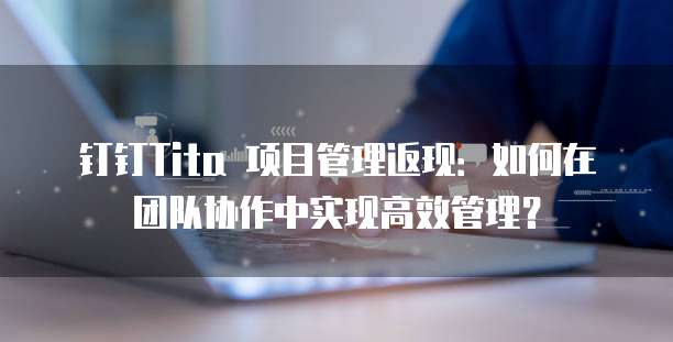 钉钉Tita 项目管理返现:如何在团队协作中实现高效管理?