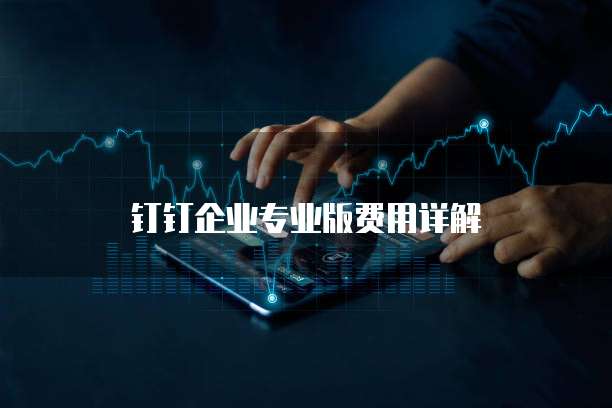 钉钉企业专业版费用详解