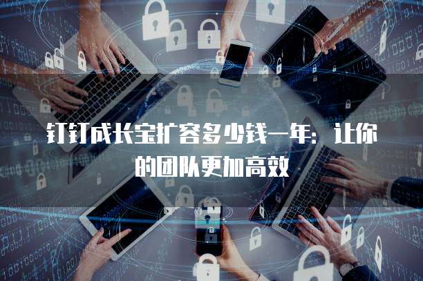 钉钉成长宝扩容多少钱一年:让你的团队更加高效