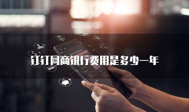 钉钉网商银行费用是多少一年