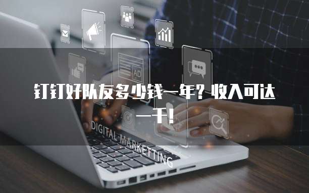钉钉好队友多少钱一年?收入可达一千!