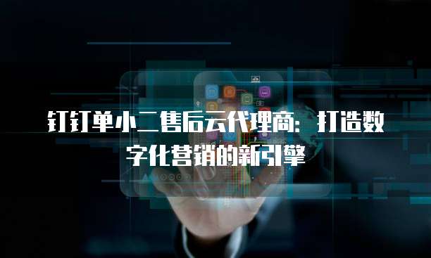 钉钉单小二售后云代理商:打造数字化营销的新引擎