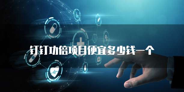 钉钉功倍项目便宜多少钱一个